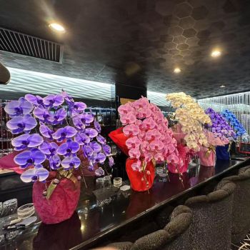 名古屋錦の中国クラブ、クラブ京